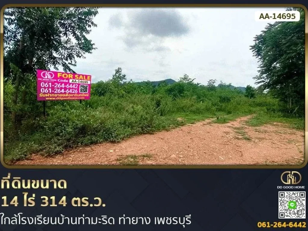 ที่ดินขนาด 14 ไร่ 314 ตรว ใกล้โรงเรียนบ้านท่ามะริด ท่ายาง