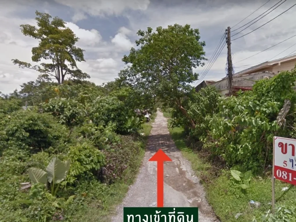 ให้เช่า ที่ดิน 1 ไร่ อำเภอเมืองภูเก็ต ตำบลวิชิต