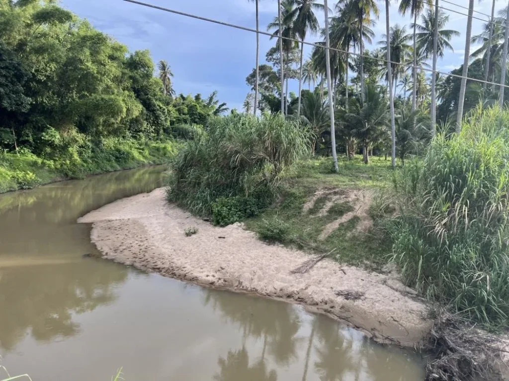 ขายที่ดินติดแม่น้ำ ทับสะแก จังหวัดประจวบคีรีขันธ์ เนื้อที่10