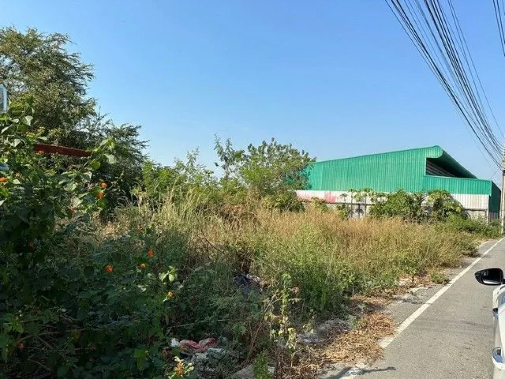 ขายที่ดินเปล่า 200 ตรว ในลำโพ บางบัวทอง นนทบุรี ติดถนน