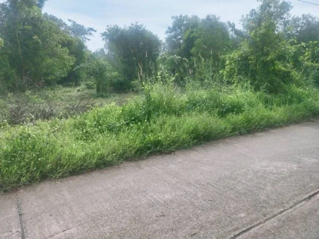 ขายที่ดินแบ่งขายใกล้อนุสาวรีย์สุนทรภู่ใกล้หาดแหลมแม่พิมพ์ติด