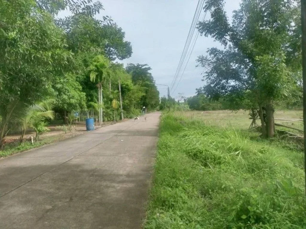 ขายที่ดินแบ่งขายใกล้อนุสาวรีย์สุนทรภู่ใกล้หาดแหลมแม่พิมพ์ติด