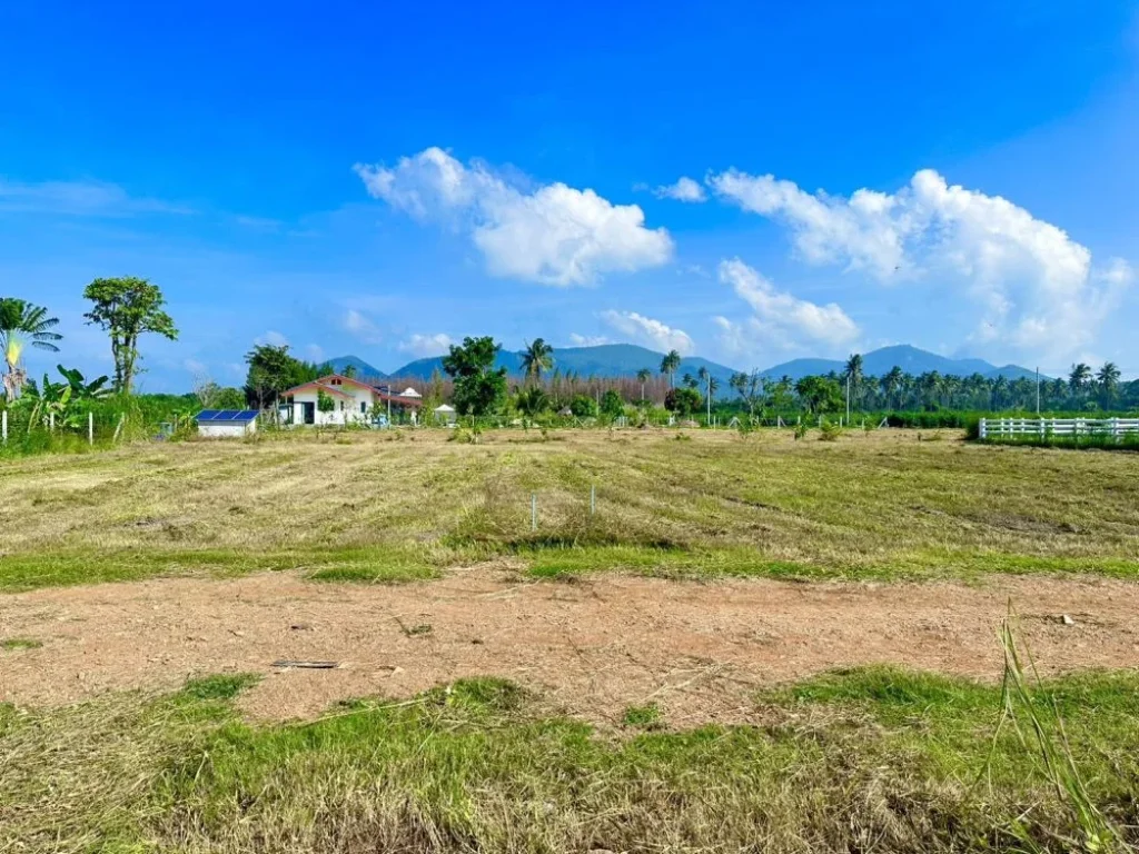 ขายที่ดิน วิวเขา พุหวายวิว 100 ตรว เขต ชะอำ เพชรบุรี