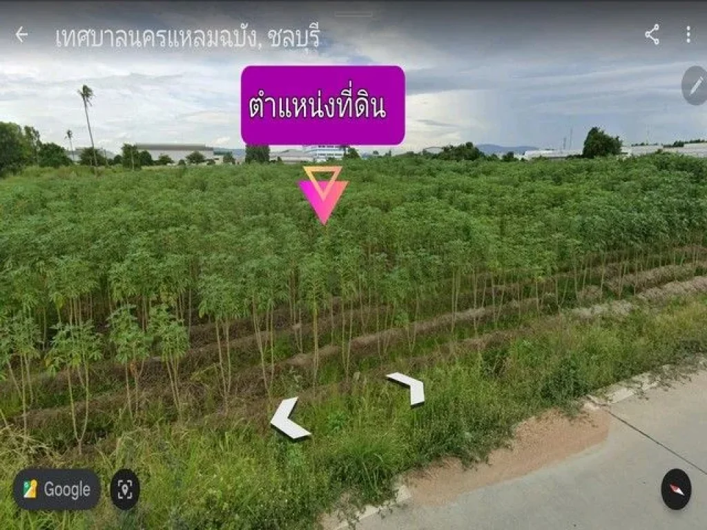 ขายที่ดิน ศรีราชาชลบุรีต หนองขาม 6-3-31 ไร่