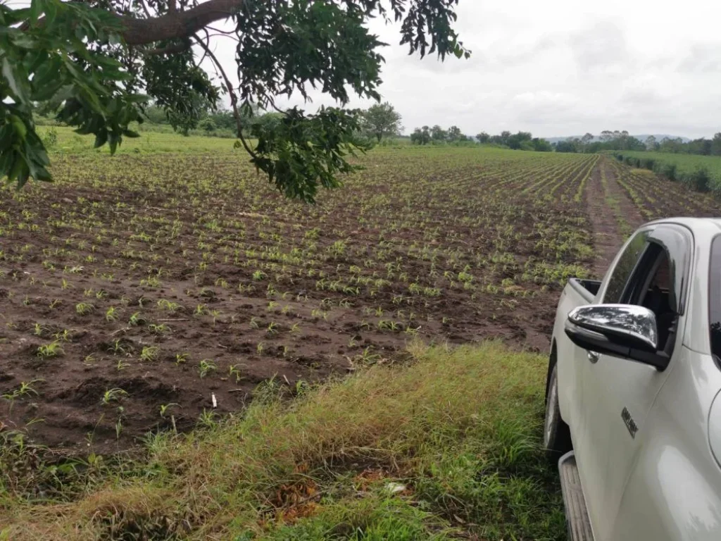 ขายที่ดินเปล่า 10 ไร่ ตำบลชัยบาดาล อำเภอชัยบาดาล