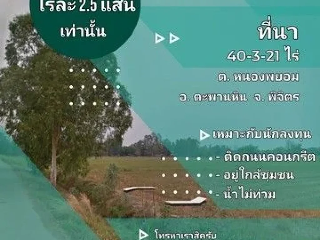 ขายที่ดิน อ ตะพานหินจ พิจิตร ตหนองพยอม 40-3-21 ไร่