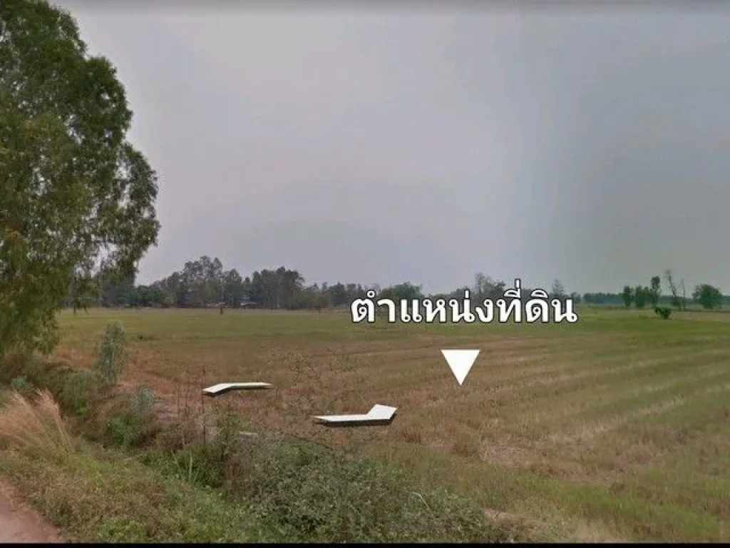 ขายที่ดิน อ ตะพานหินจ พิจิตร ตหนองพยอม 40-3-21 ไร่