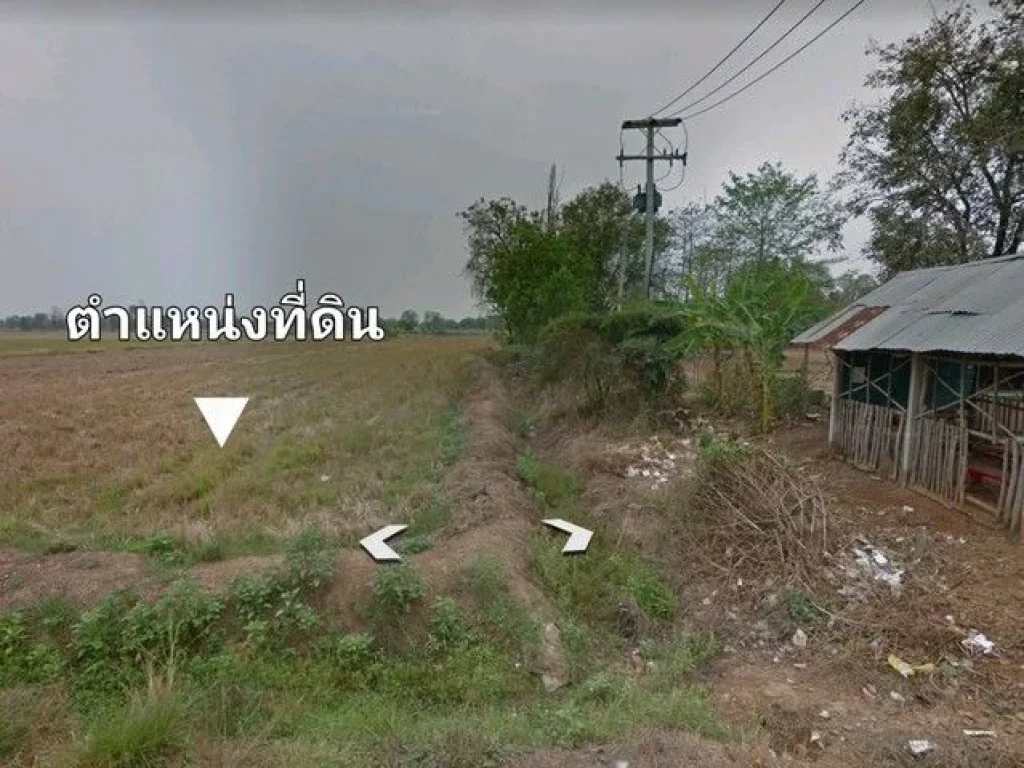 ขายที่ดิน อ ตะพานหินจ พิจิตร ตหนองพยอม 40-3-21 ไร่