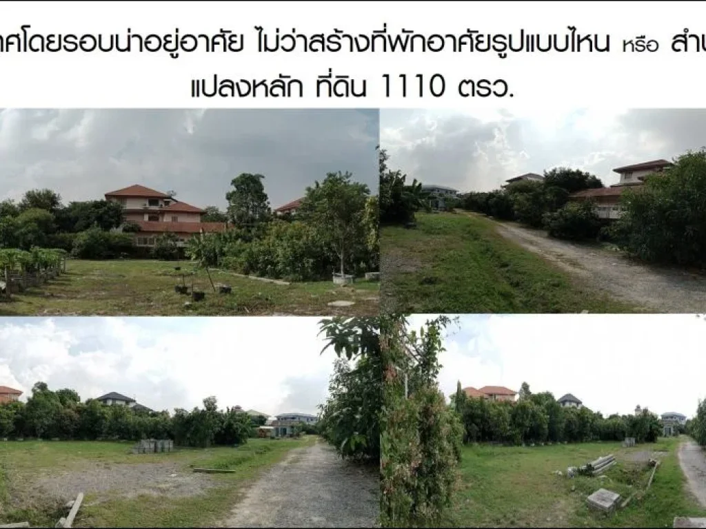 ขายที่ดิน 1331 ตรวใกล้สถานีศรีแบริ่ง รถไฟฟ้า สายสีเหลือง