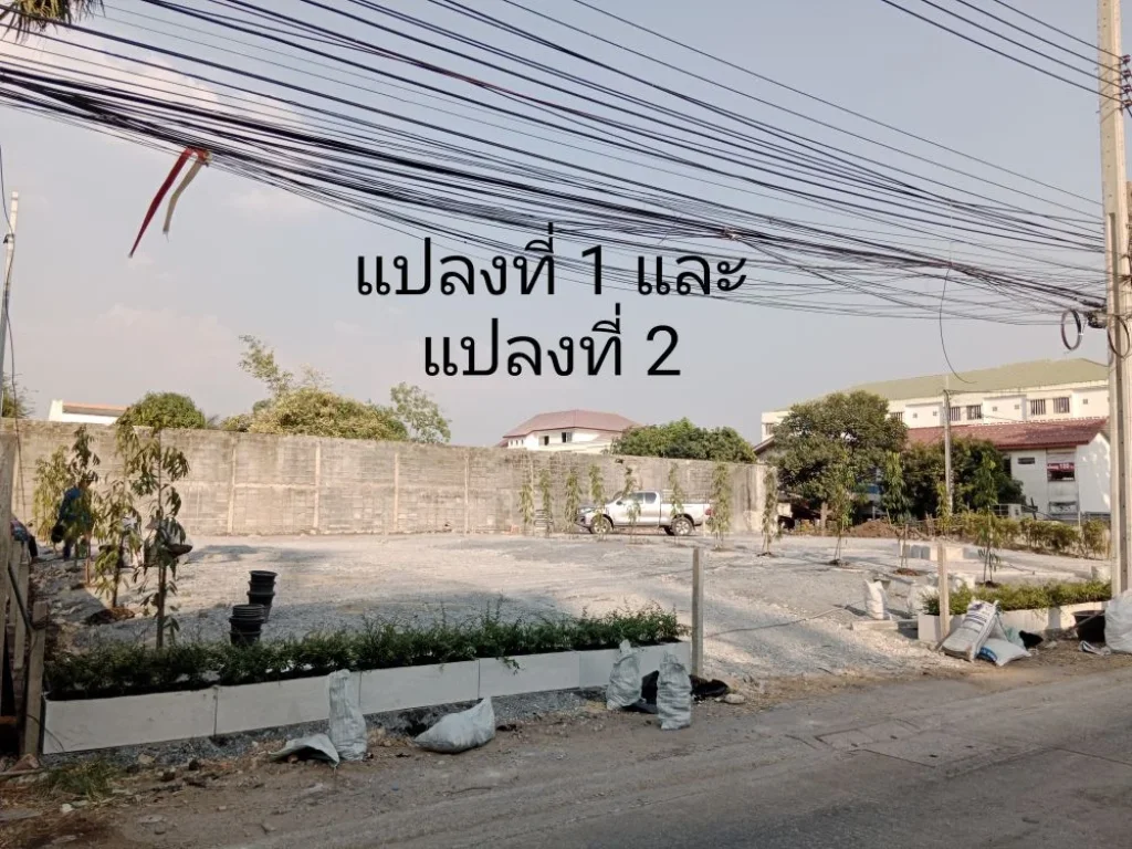 ขายที่ดิน 1331 ตรวใกล้สถานีศรีแบริ่ง รถไฟฟ้า สายสีเหลือง