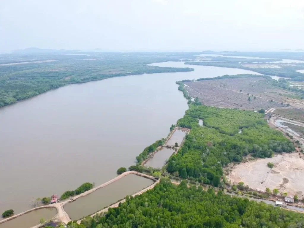 ขายที่ดินติดแม่น้ำจันทบุรี ที่ดินมีอัญมณีล้ำค่าใค้ผิวดิน