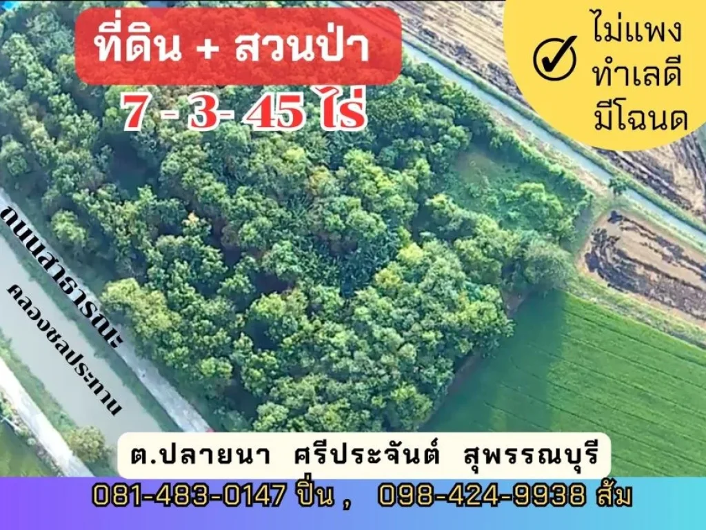 ที่ดิน พร้อมสวนป่า 7 ไร่ 3 งานกว่า บ้านรางหางม้า ตปลายนา