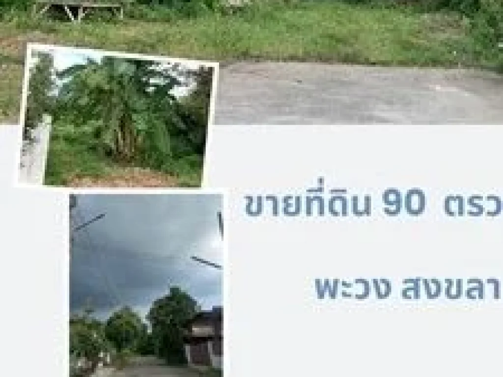 ขายที่ดิน ซอยเมืองใหม่ 2 ห่างจาก ถนนกาญจนวนิช 400 เมตร