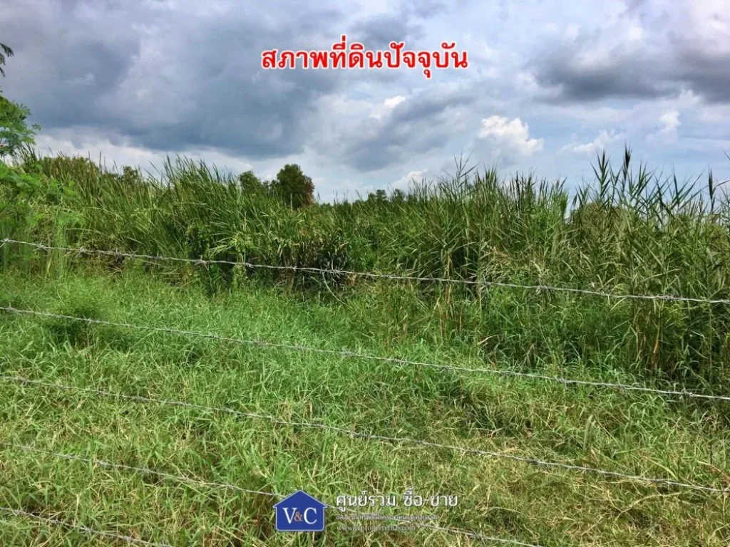 ที่ดินเปล่า คลองหลวง คลอง 4 พื้นที่ 1-1-45 ไร่ ตคลองสี่