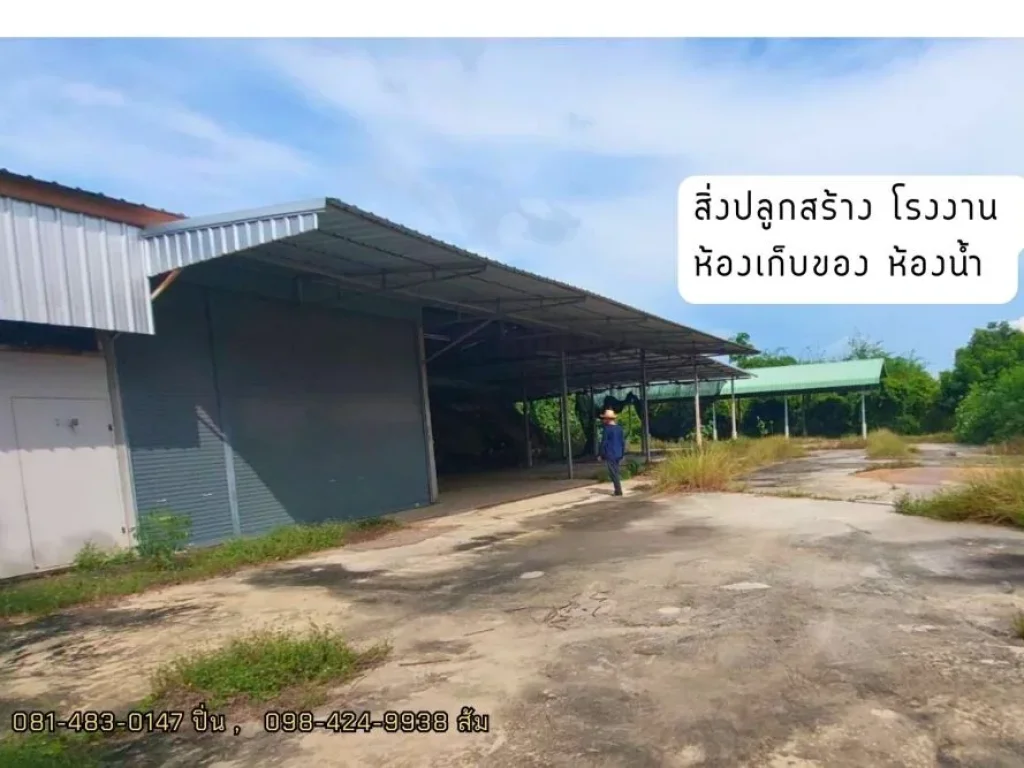 ที่ดิน พร้อมโรงงาน สวนป่า เนื้อที่ 7 ไร่ 2 งานกว่า ตปลายนา