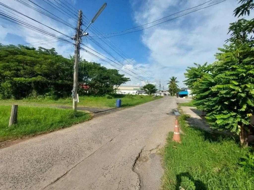 ขายที่ดินเปล่า ในตัวเมืองบุรีรัมย์ สามารถทักมาสอบถามรายละเอี