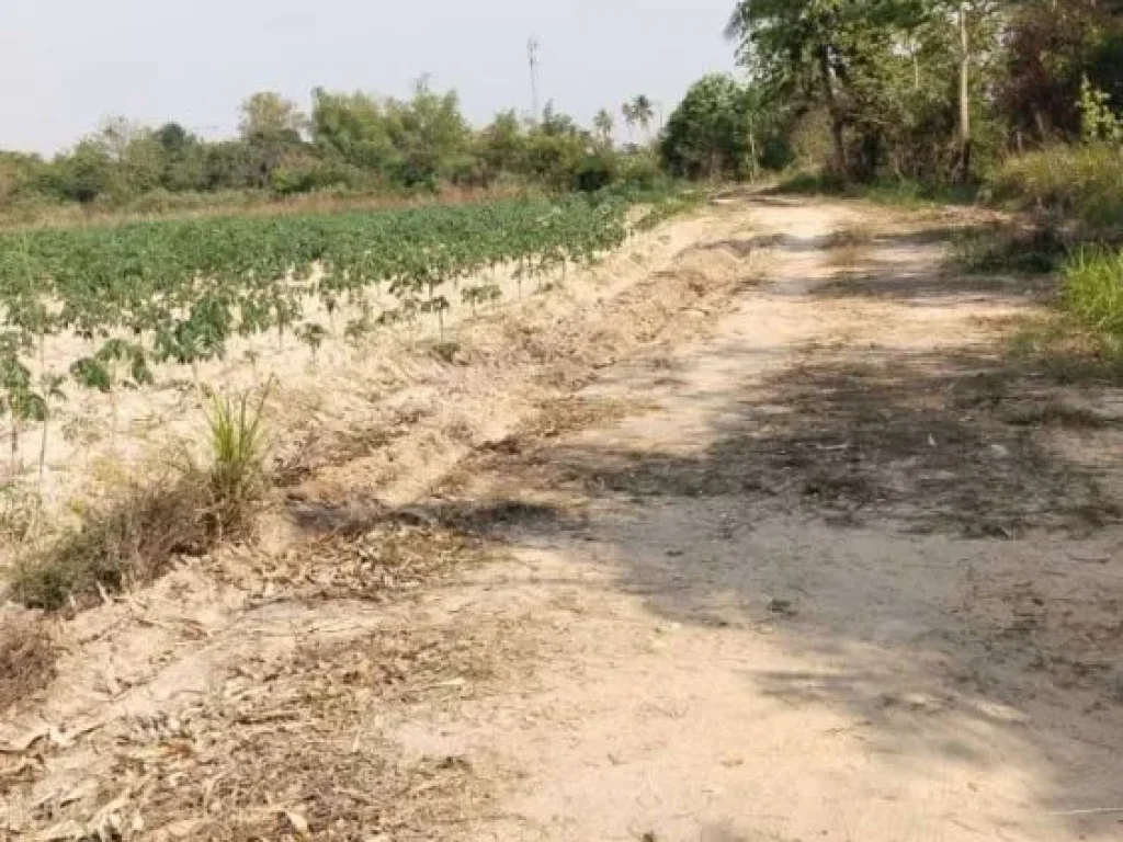 ขายถูกที่ดินบางละมุง 25 ไร่ ล้อมรอบธรรมชาติ ตะเคียนเตี้ยน