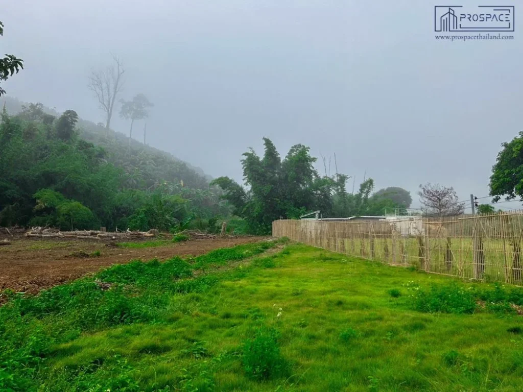 ขายที่ดิน ติดภูเขา ลำธารเชียงดาว จเชียงใหม่