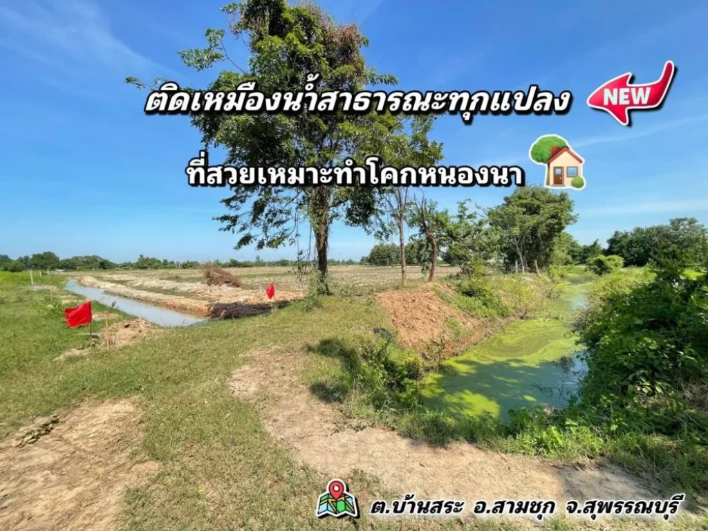 ขายที่ดินติดคลองน้ำ เนื้อที่ 1 ไร่ 39 ตรว ตบ้านสระ สามชุก