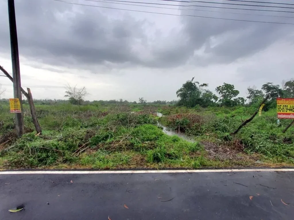 ขายถูกที่สุดที่ดินหนองเสือ 2 ไร่ ติดถนนลาดยางสาธารณะไฟฟ้าป