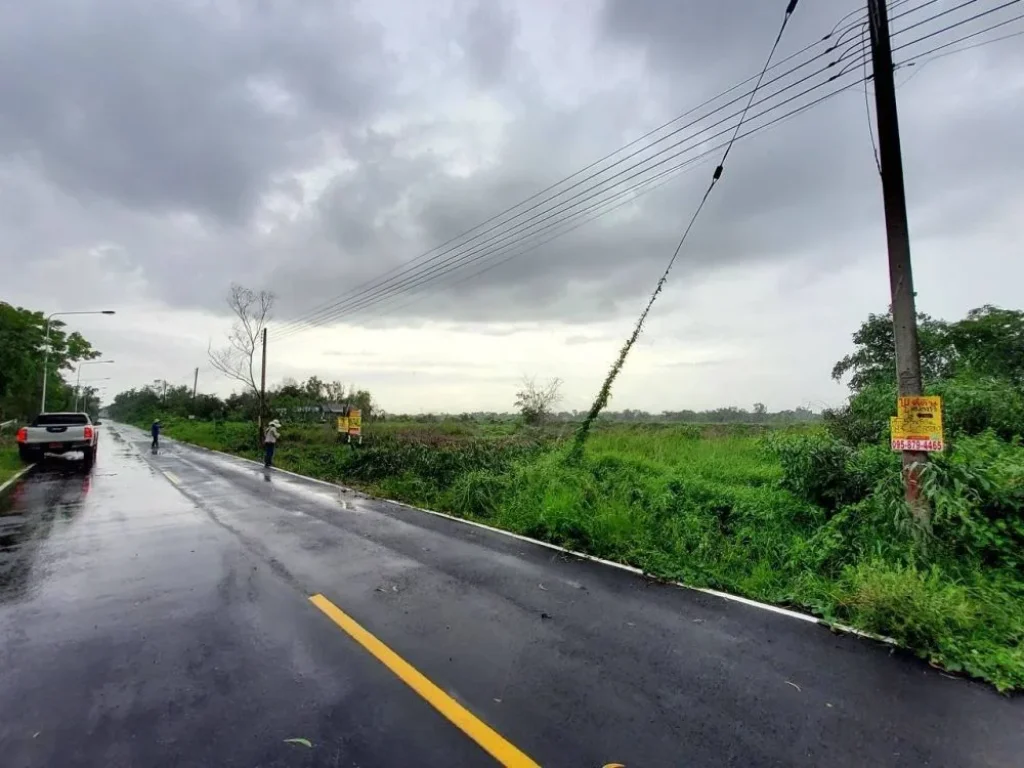 ขายถูกที่สุดที่ดินหนองเสือ 2 ไร่ ติดถนนลาดยางสาธารณะไฟฟ้าป