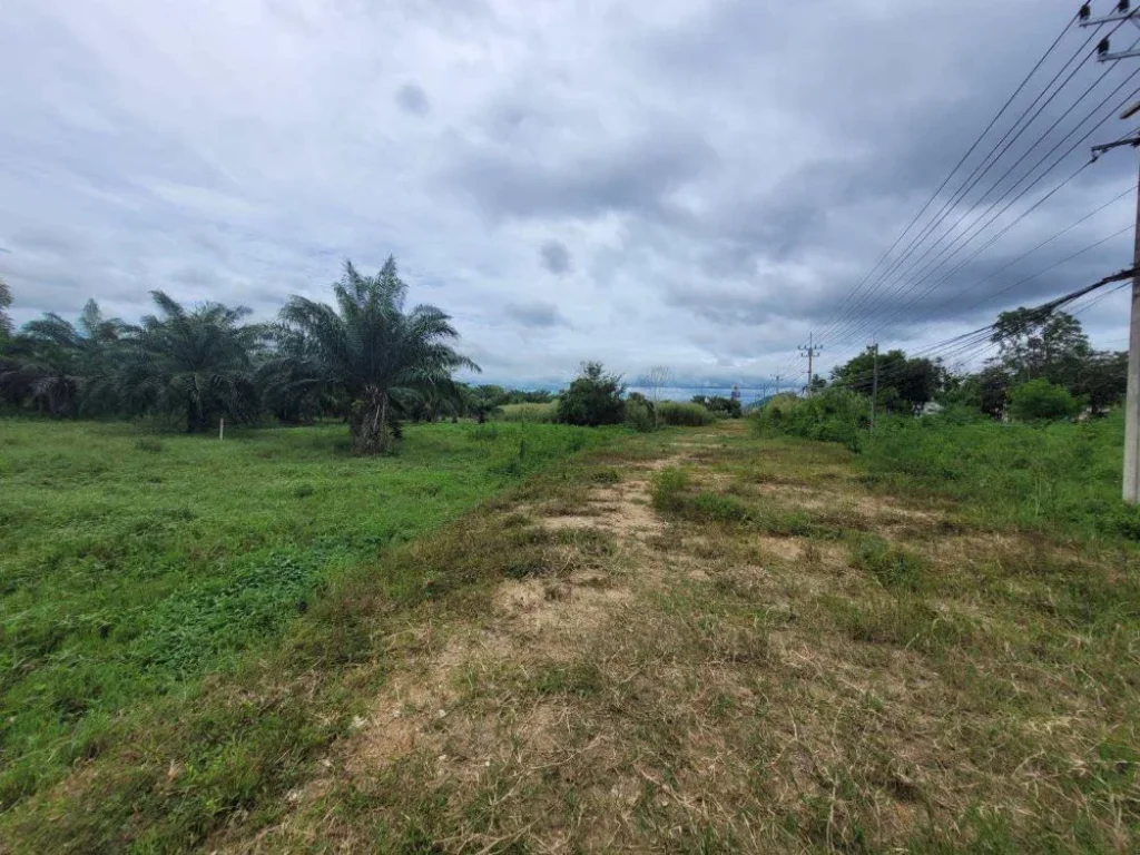 ขายที่ดิน ทำเลดี ติดถนนเพชรเกษม อำเภอบางสะพาน จังหวัดประจวบ