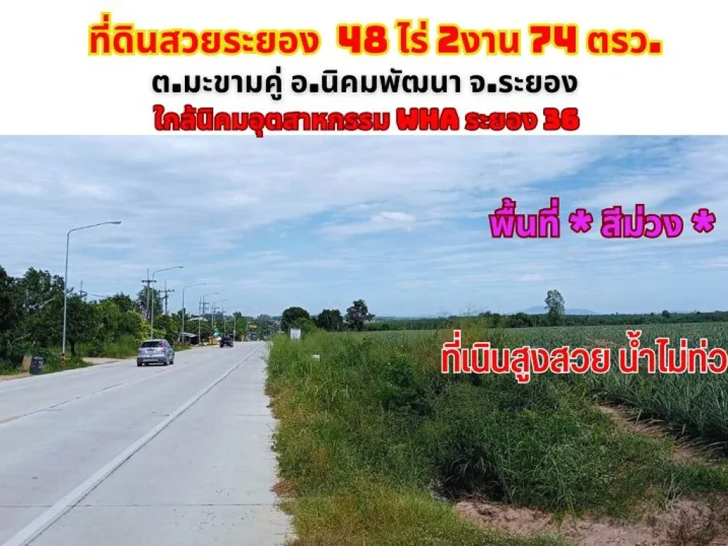 ขายที่ดินระยอง 48-2-74ไร่ มะขามคู่ อนิคมพัฒนา พื้นที่