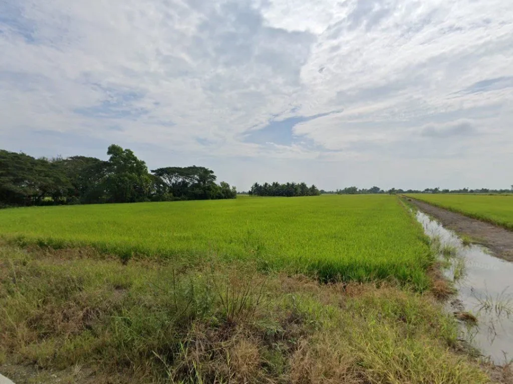 ขายที่ดินบางกะไห แปดริ้ว 6 ไร่ ติดคลองติดถนนคอนกรีตหลังวัดแพ