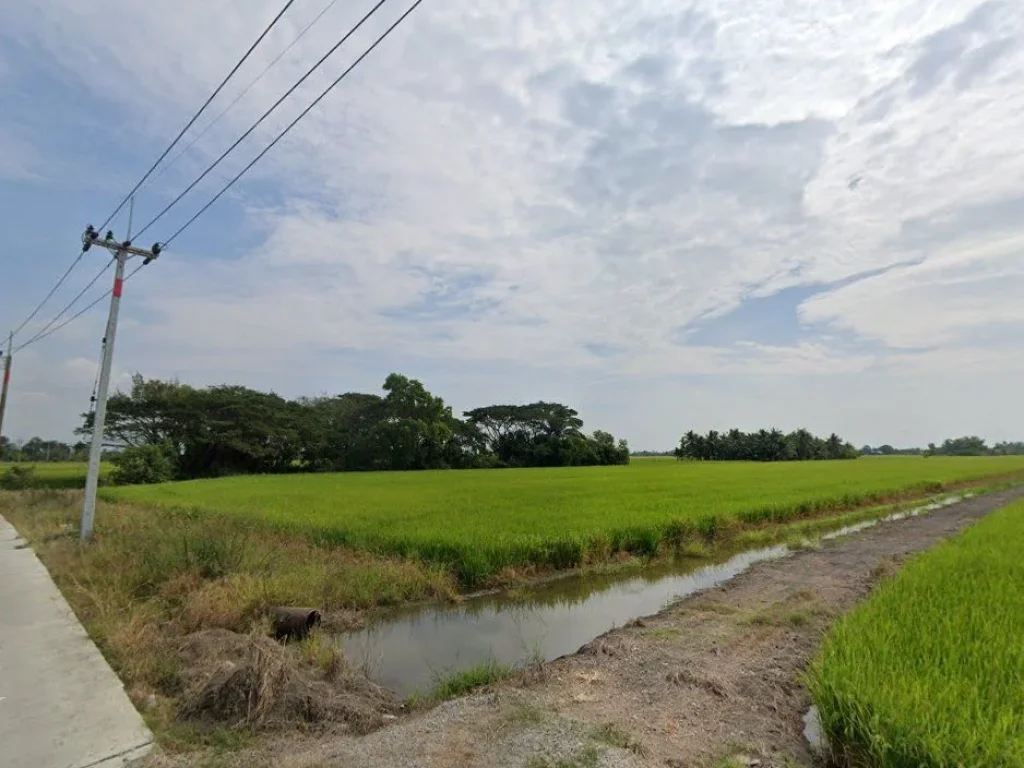 ขายที่ดินบางกะไห แปดริ้ว 6 ไร่ ติดคลองติดถนนคอนกรีตหลังวัดแพ