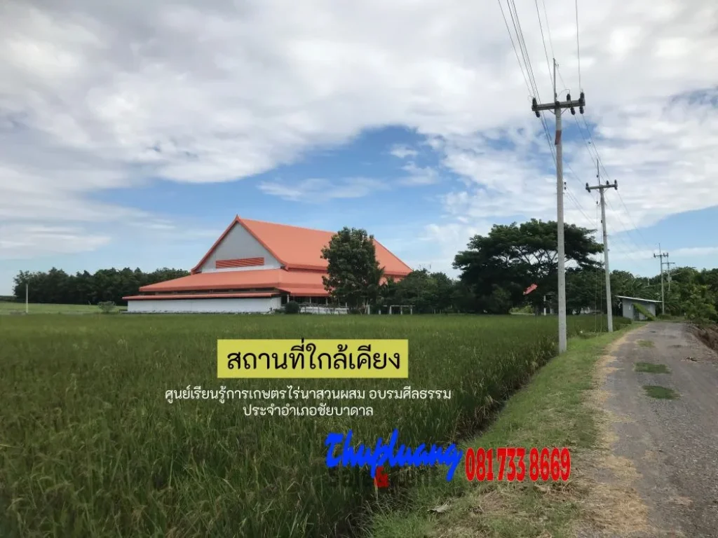 ขายที่ดิน4 ไร่ เกษตรพอเพียงเหมาะปลูกบ้านพักอาศัย ชัยบาดาล