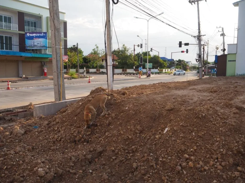 ขายที่ดินติดถนนเลี่ยงเมืองตัดใหม่ ในเมืองกำแพงเพชร