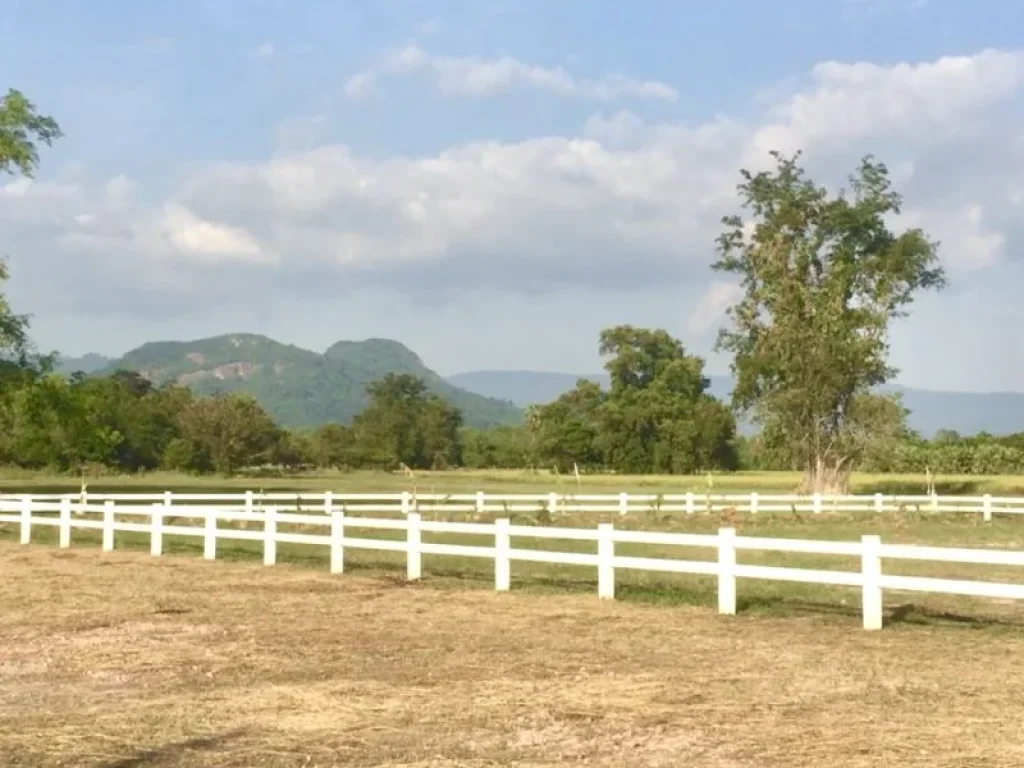 หน้าน้ำหลังเขา พิเศษสุดๆ 2 แปลงสุดท้ายบรรยากาศดีมีทั้งวิวเขา