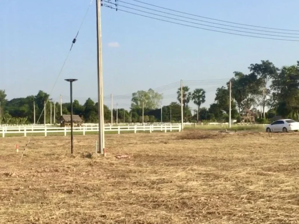 หน้าน้ำหลังเขา พิเศษสุดๆ 2 แปลงสุดท้ายบรรยากาศดีมีทั้งวิวเขา