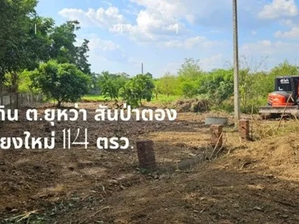 ขายที่ดิน 114 ตรว ห่างจากโรงเรียนสันป่าตองวิทยาคม 850 เมตร