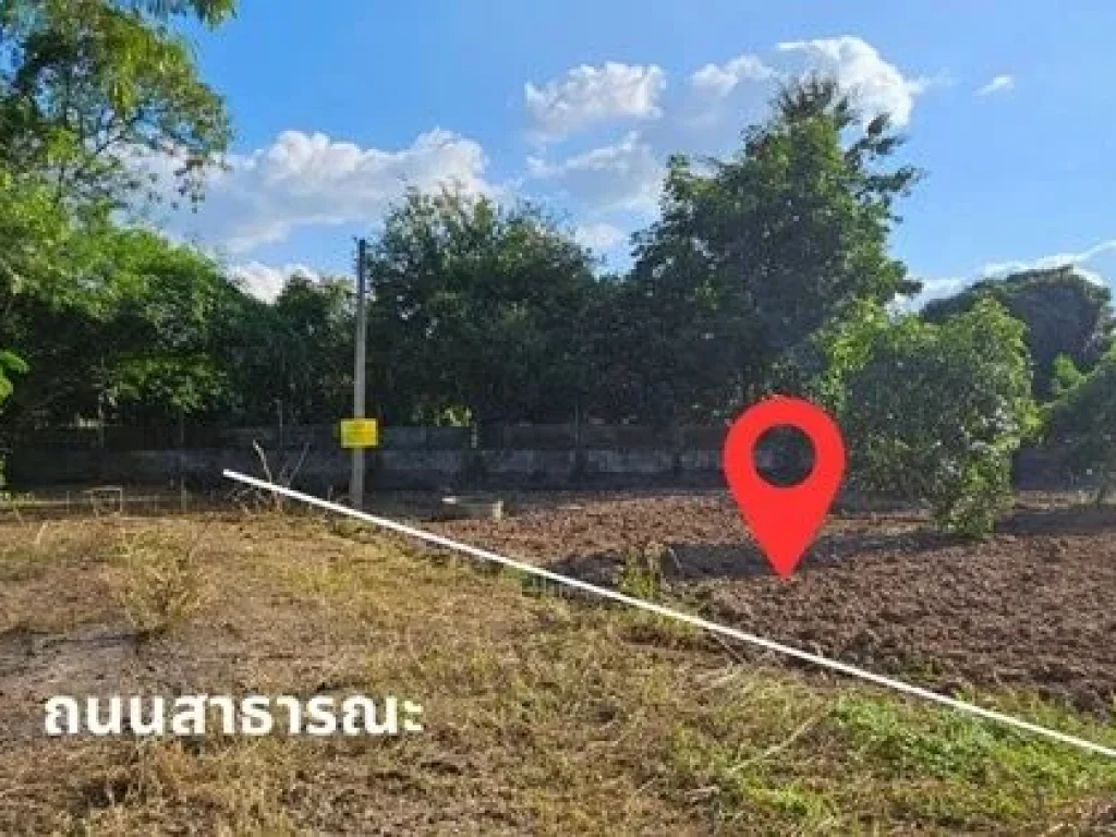 ขายที่ดิน 114 ตรว ห่างจากโรงเรียนสันป่าตองวิทยาคม 850 เมตร