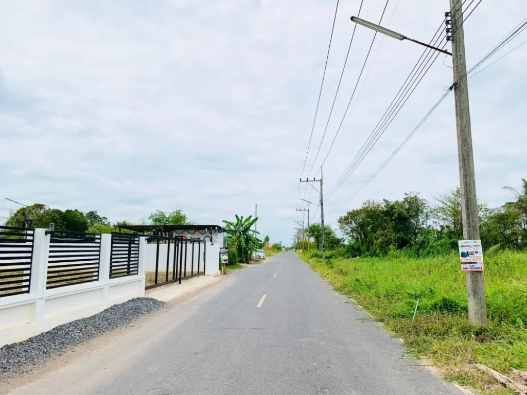 ขายที่ดิน คลอง11 แปลงสวย 100 ตรวา ติดถนนลาดยาง น้ำประปา