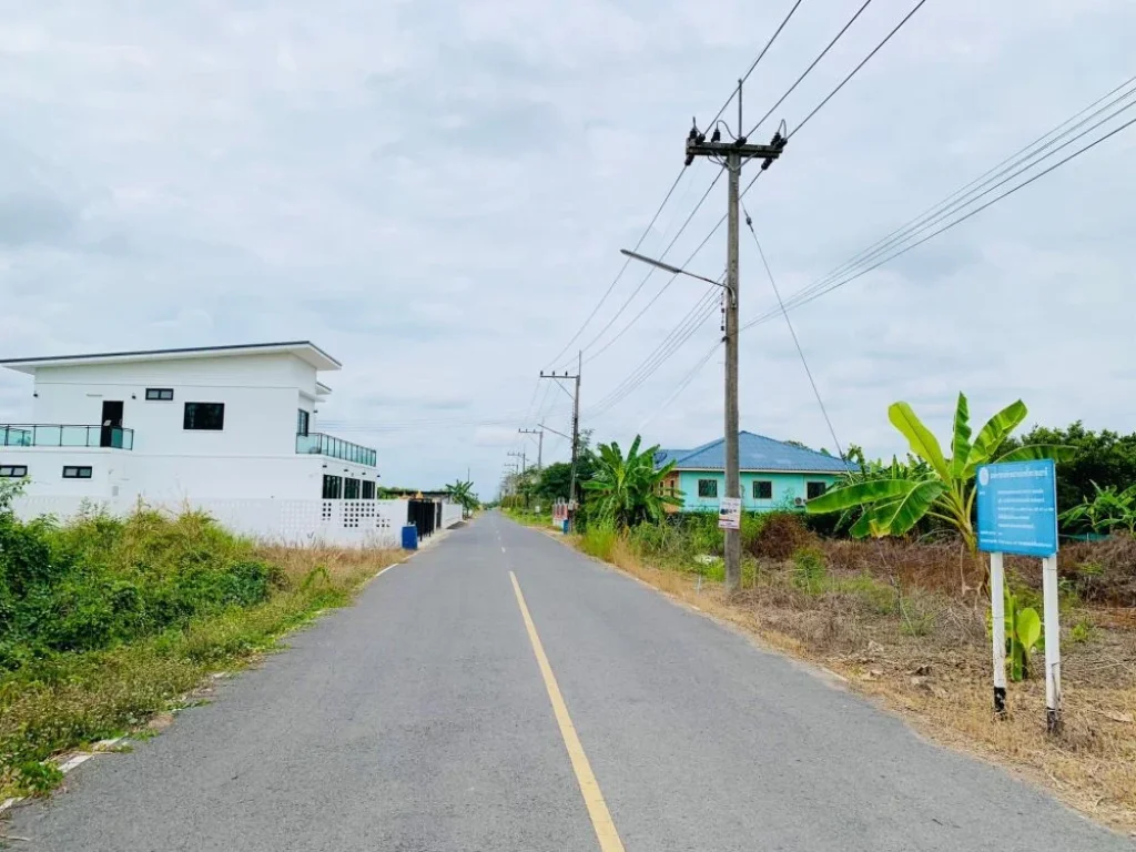 ขายที่ดิน คลอง11 แปลงสวย 100 ตรวา ติดถนนลาดยาง น้ำประปา