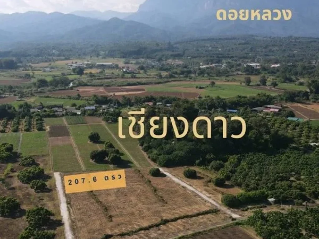 โฉนดครุฑแดง 2076 ตรว เชียงดาว เมืองแห่งขุนเขาและสายหมอก