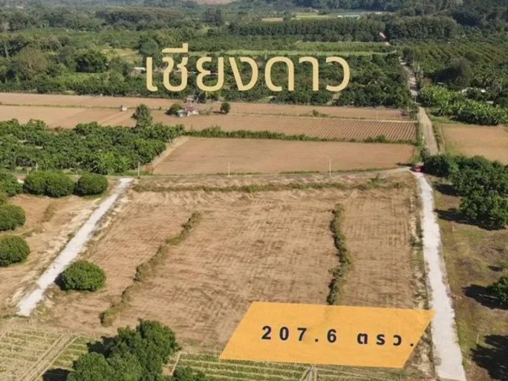 โฉนดครุฑแดง 2076 ตรว เชียงดาว เมืองแห่งขุนเขาและสายหมอก