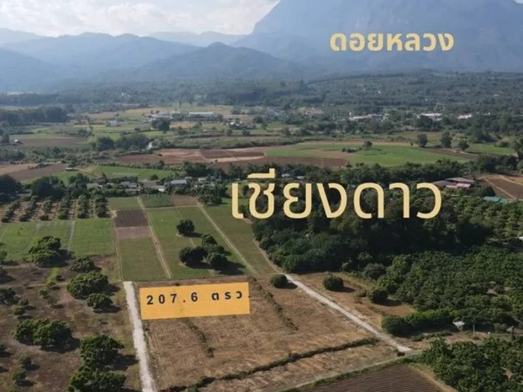 โฉนดครุฑแดง 2076 ตรว เชียงดาว เมืองแห่งขุนเขาและสายหมอก