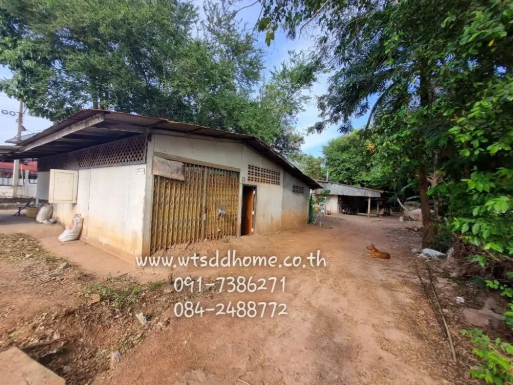 ขายที่ดินพร้อมสิ่งปลูกสร้างบ้านหอย ประจันตคาม ปราจีนบุรี