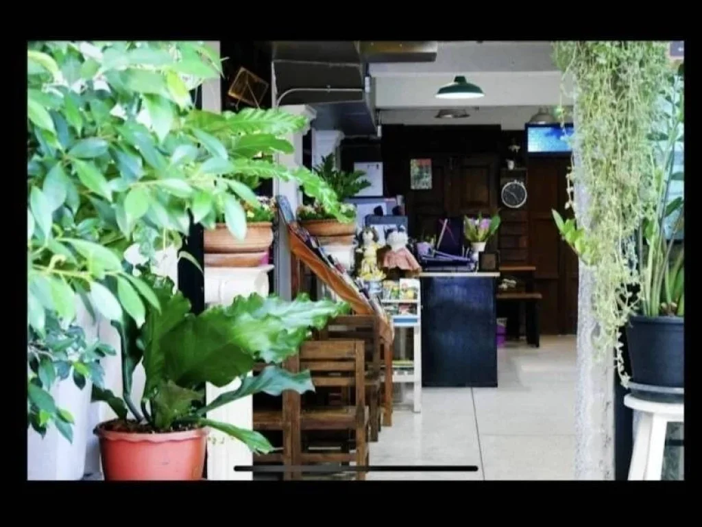 เช่าHostel ดำเนินกิจการต่อได้ ใกล้ถนนท่าแพ ตศรีภูมิ อเมือง