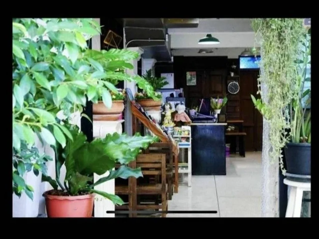 เช่าHostel ดำเนินกิจการต่อได้ ใกล้ถนนท่าแพ ตศรีภูมิ อเมือง