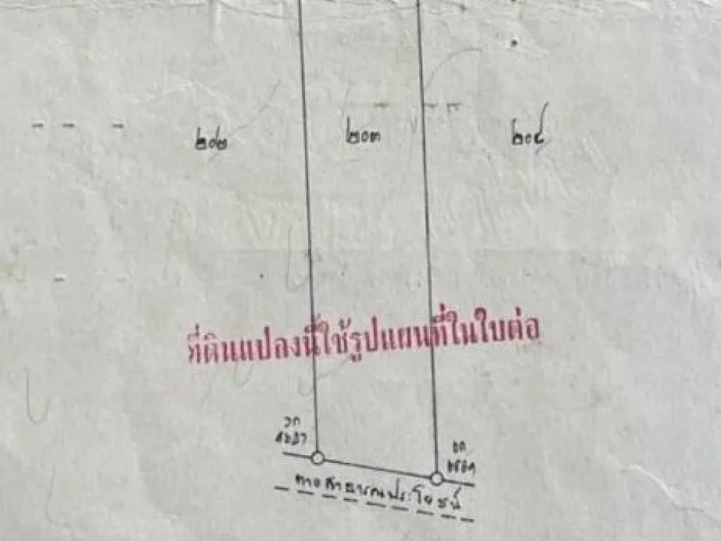 ขายที่ดิน 19 ไร่ ติดถนน มีไฟฟ้าพร้อม อด่านมะขามเตี้ย