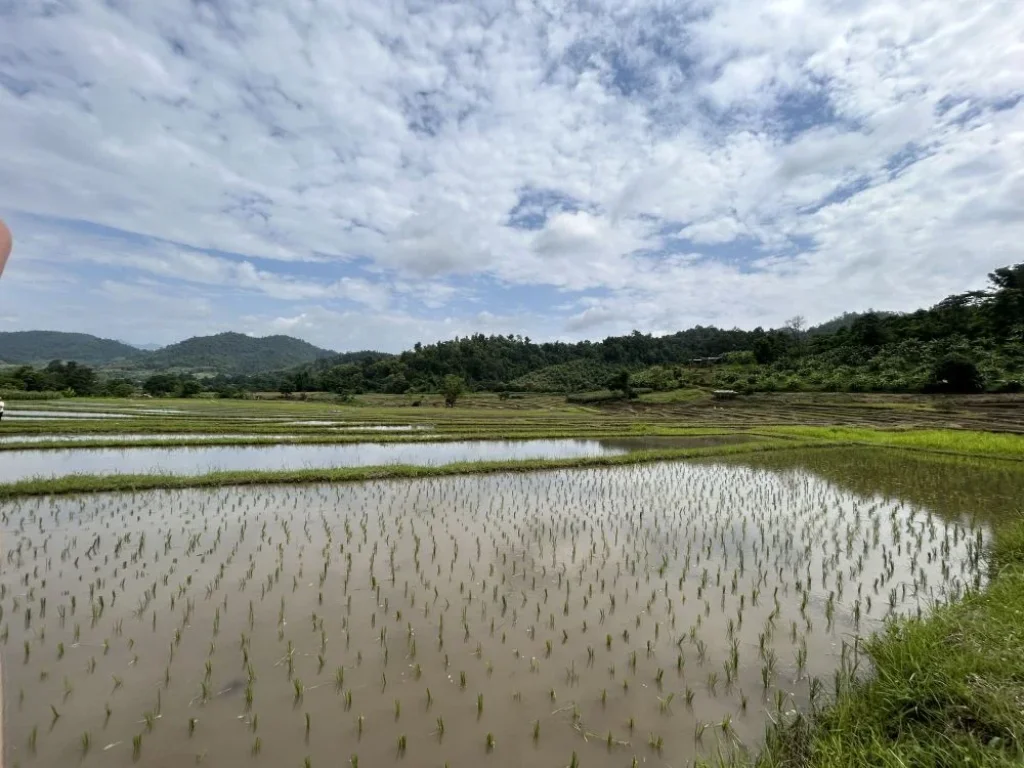 ที่นา ติดลำน้ำธรรมชาติ วิวเขาสวย 360 องศา