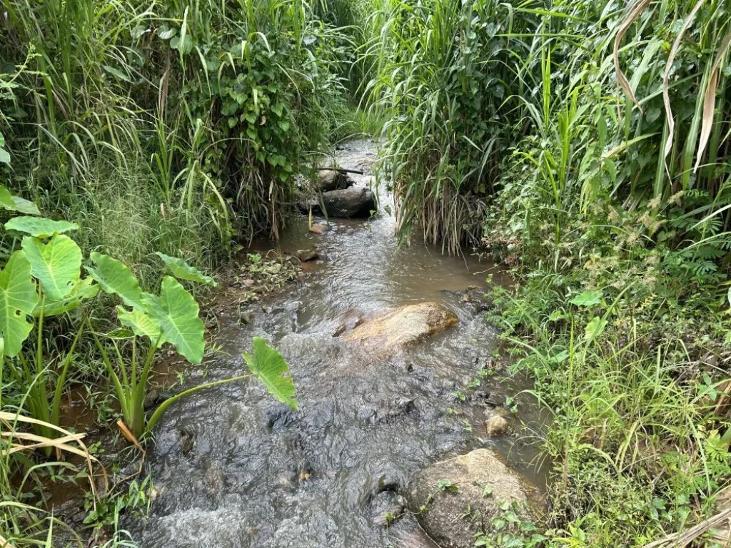 ที่นา ติดลำน้ำธรรมชาติ วิวเขาสวย 360 องศา