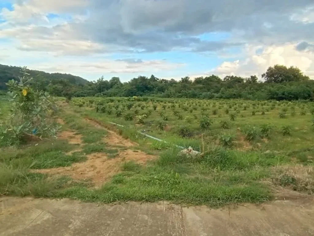 ขายที่กาญจนบุรีดินติดแม่น้ำ วิวโค้งทางรถไฟที่สวยที่สุดในประเ