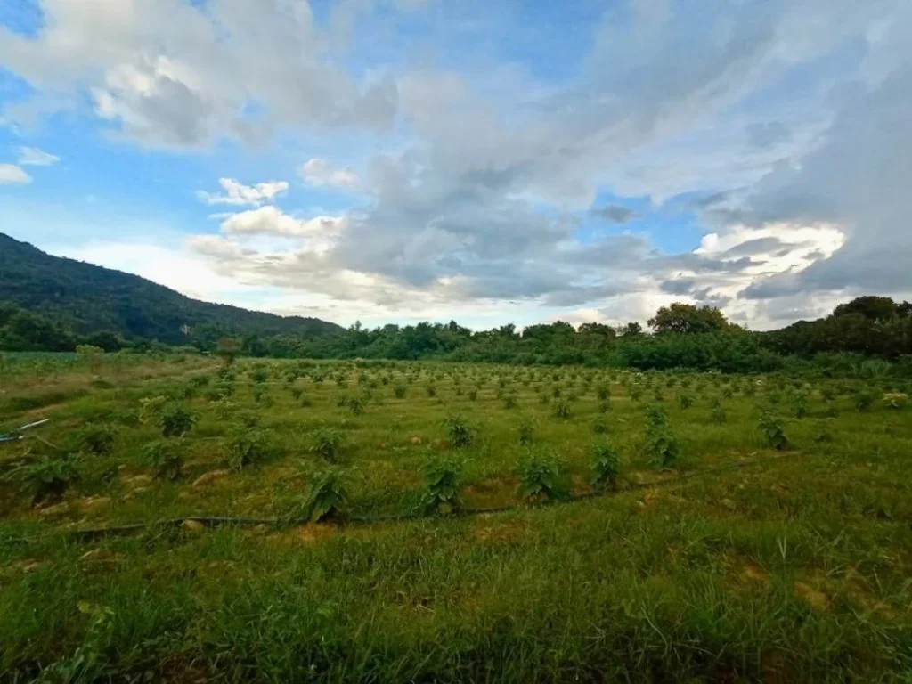 ขายที่กาญจนบุรีดินติดแม่น้ำ วิวโค้งทางรถไฟที่สวยที่สุดในประเ