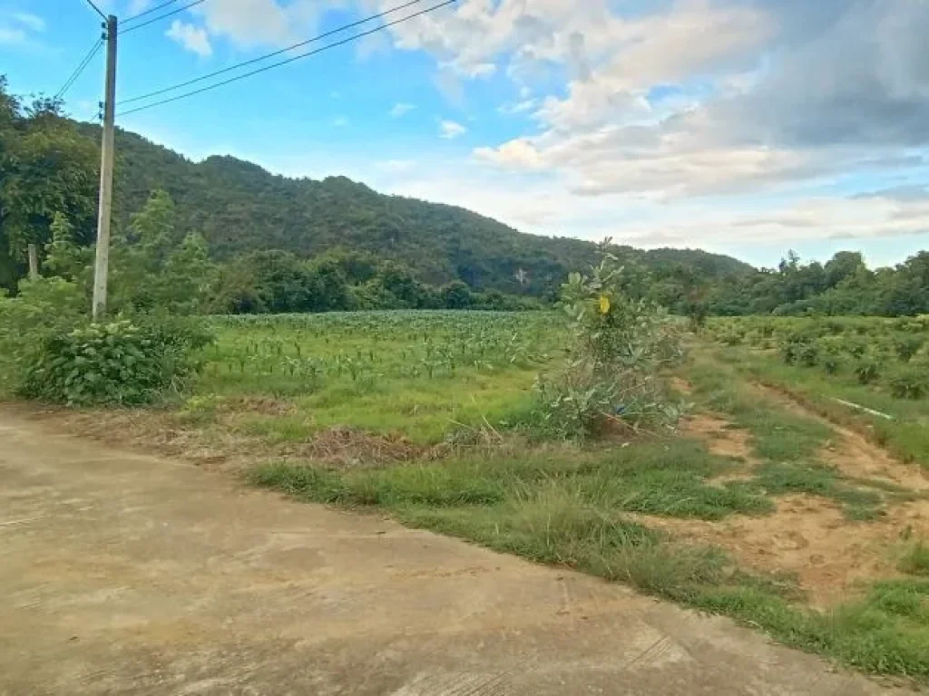 ขายที่กาญจนบุรีดินติดแม่น้ำ วิวโค้งทางรถไฟที่สวยที่สุดในประเ