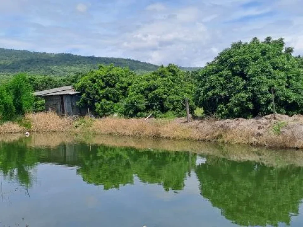 เจ้าของขายเอง ขายสวนลำไยบ่อปลาเชิงเขา ห่างทางหลวง 108